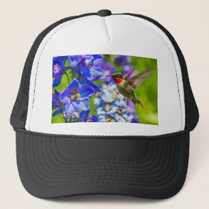 Boné Hummingbird And Delphinium