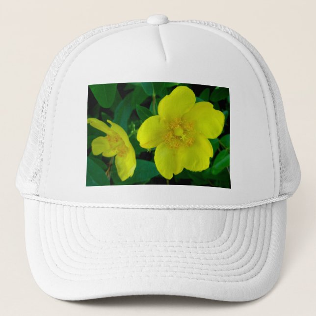 Boné Hypericum Hat (Frente)