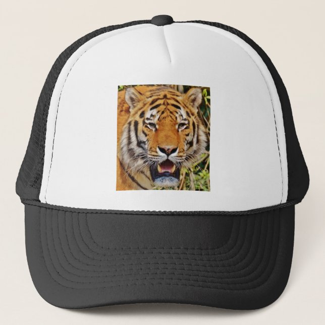 Boné Imagem Tiger! (Frente)