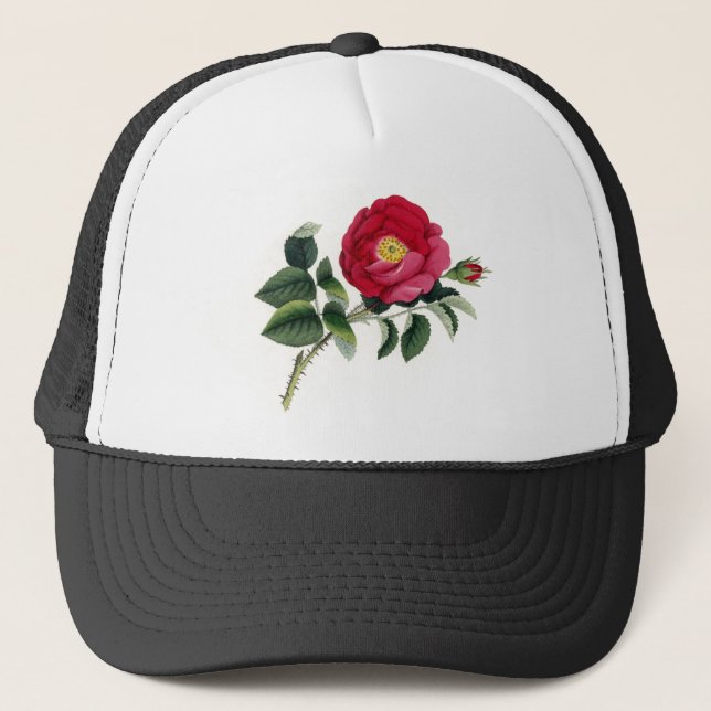 Boné Impressão botânico - o francês aumentou (Rosa (Frente)