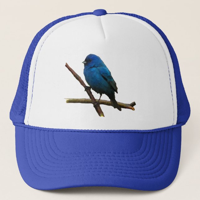 Boné Indigo Bunting (Frente)