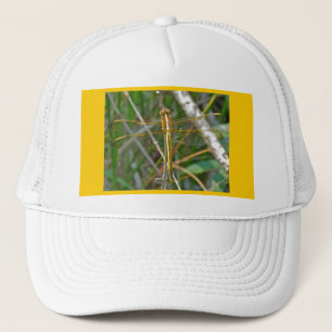 Boné Itens de Dragonfly do Ouro Meadowhawk (Sympetrum)