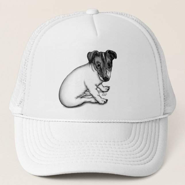 Boné Jack Russell cachorrinho de 10 semanas (Frente)