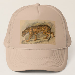Boné Jaguar, onca do Felis