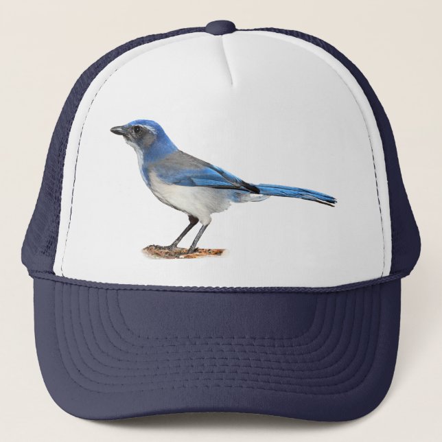 BONÉ JAY 2 (Frente)