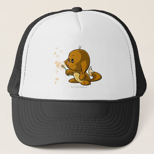 Boné Kacheek Brown (Frente)