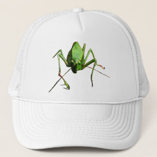 Boné Katydid