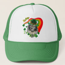 Keeshond Dia de São Patrício