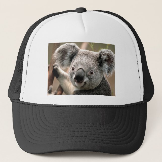 Boné Koala (Frente)