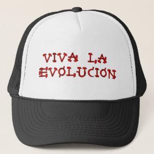 Boné La Evolucion de Viva