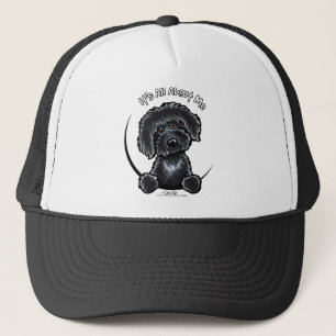 Boné Labradodle preto IAAM