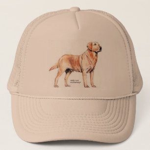 Boné Labrador Retriever