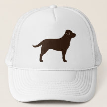 Labrador Retriever (chocolate)