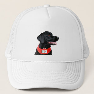 Boné Labrador Retriever Preto Usando uma Coleira Vermel