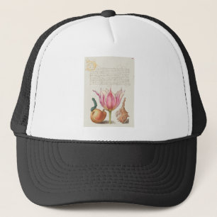Boné Lagarta, Pera, Tulipa e Caracol Roxo
