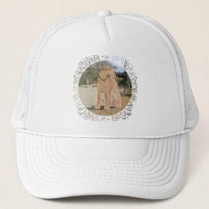 Boné Lakeland Terrier no Pátio Estável