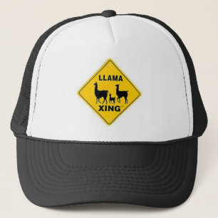 Boné Lama