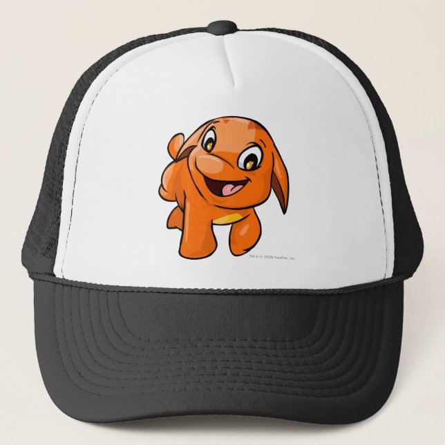 Boné Laranja de Poogle (Frente)