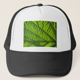 Boné Legal literatura verde