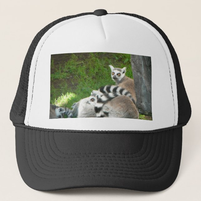 Boné Lemurs (Frente)