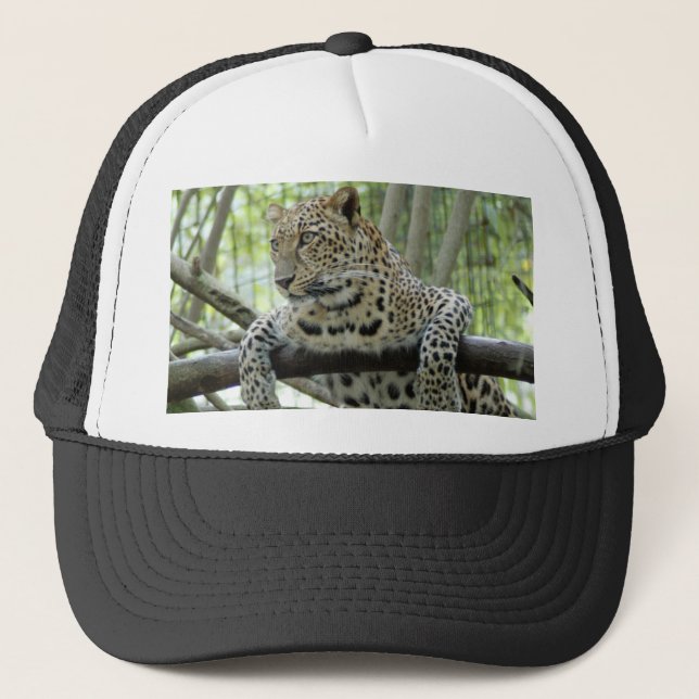 Boné LeopardSundari_006 (Frente)
