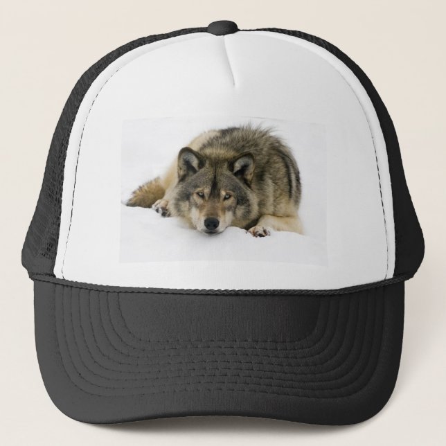 Boné Lobo (Frente)