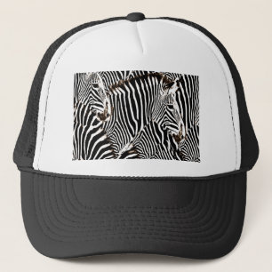 Boné Love_ das zebras