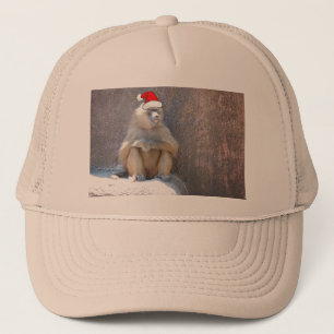 Boné Macacos e babuínos de Natal