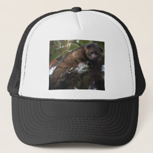 Boné Mamífero novo de Olinguito (neblina de