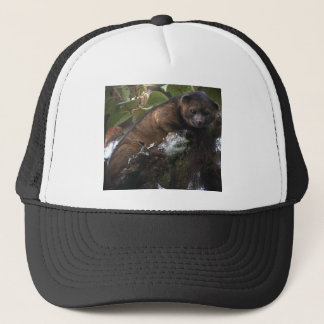 Boné Mamífero novo de Olinguito (neblina de