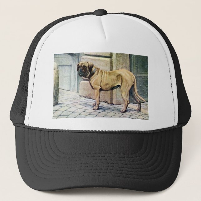 Boné Mastiff (Frente)