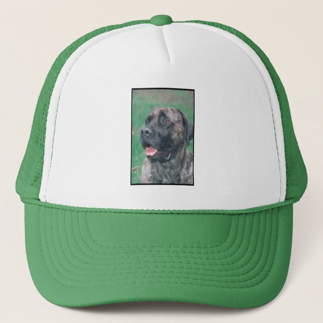 Boné Mastiff rajado (Frente)