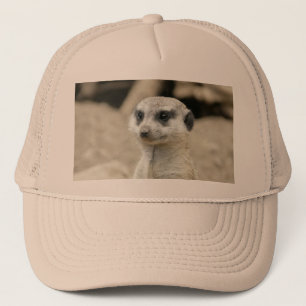 Boné Meerkat