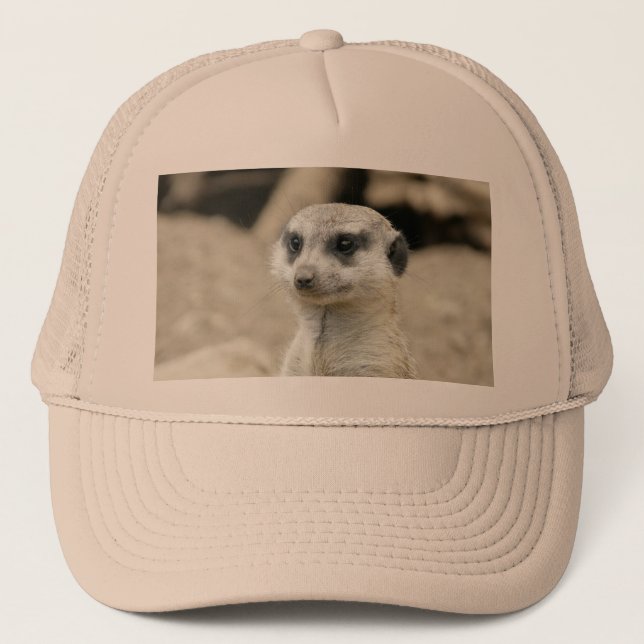 Boné Meerkat (Frente)
