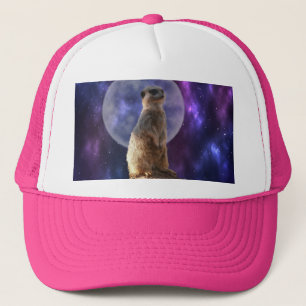 Boné Meerkat Na Noite Da Lua Azul, Chapéu Do Caminhone