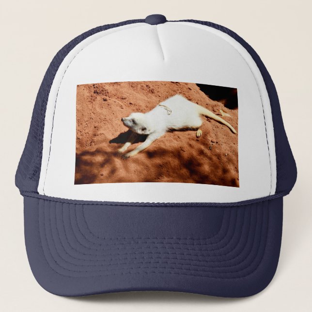 Boné Meerkat White Stretching, Truckers Hat (Frente)