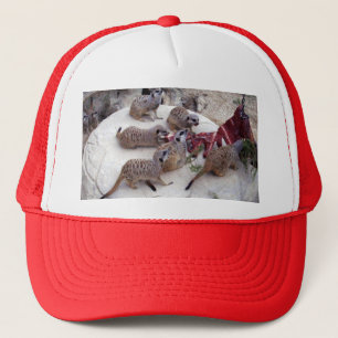 Boné Meerkats Carnívoros Com Costelas Para O Chá,