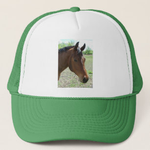 Boné Meu Amigo, O Cavalo