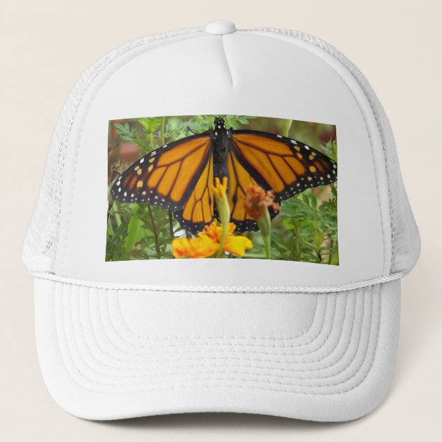 Boné Meu chapéu de borboleta Monarch (Frente)