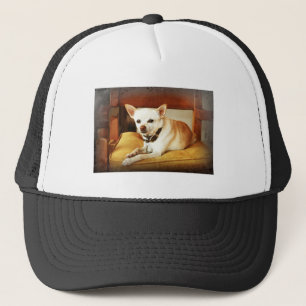 Boné Mia Trucker Hat Pequeno Mas Poderoso