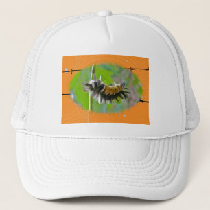 Boné Milkweed Tussock Moth Caterpillar Laranja Items