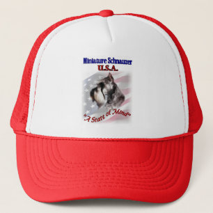 Boné Miniature Schnauzer EUA