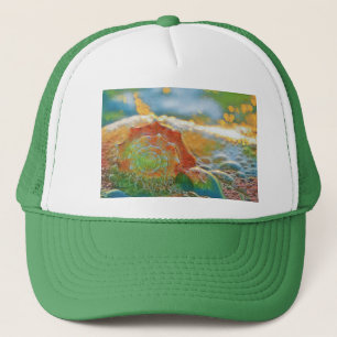 Boné Modern Watercolor Orange e Green Seashell T-Shir