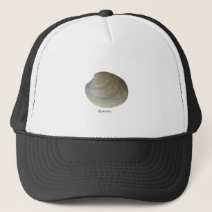 Boné Moluscos do Quahog