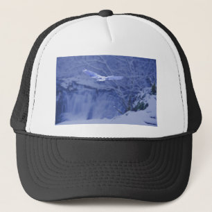 Boné Moulton cai Washington - espírito nevado da coruj