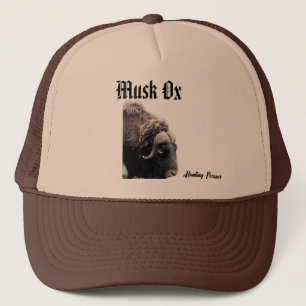 Boné Musk Ox