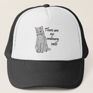 Boné Não Há Gatos Comuns