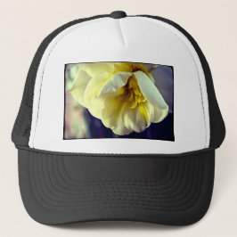 Boné Narcissus Daffodil