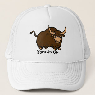 Boné Nascer e Ox