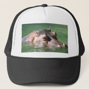 Boné Natação do Hippopotamus na superfície